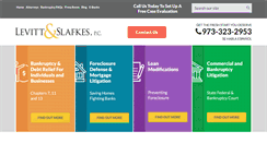 Desktop Screenshot of levittslafkes.com